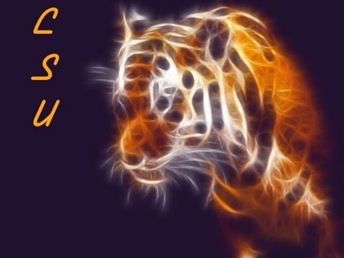 lsufanguy's profile picture. Just a normal man.  God, Wife, Kids, Football!