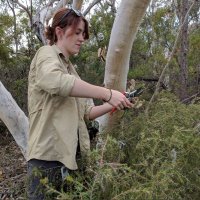 Philippa Alvarez (@powerofplants3) 's Twitter Profile