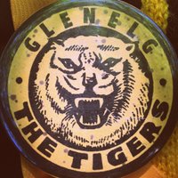 A Tiger For Me (@atigerforme13) 's Twitter Profile