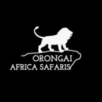 Orongai Africa Safari(@OrongaiAfrica) 's Twitter Profile Photo