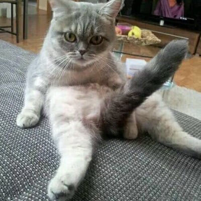 C_LMDB's profile picture.