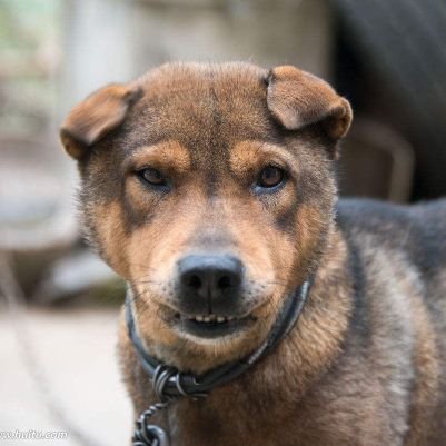 ZhannaAlyukhina's profile picture. 猖狂