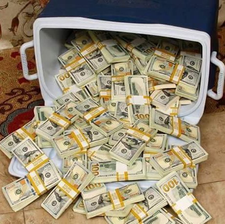 shanigafaru2's profile picture. Principle and socialist lineage