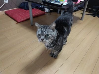 azg6316's profile picture. ルイ 2002.10 - 2020.9.21