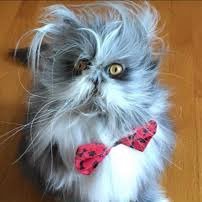 crypto_winder's profile picture. Amateur Trader