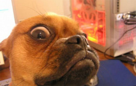 TheDugganaut's profile picture. 