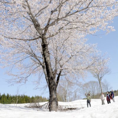 tadanocamera's profile picture. 当アカウントから写真 動画の使用許諾の連絡をさせて頂くことがあります。