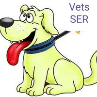 Centre Veterinari SER (@cveterinariser) 's Twitter Profile