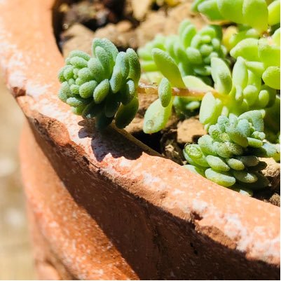 chen75250803's profile picture. 