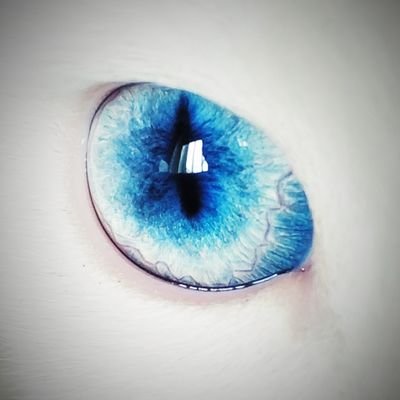 KyzBrokenHeart's profile picture. .