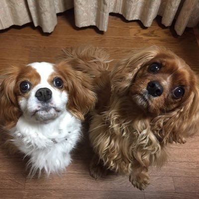 ゆにこさんのプロフィール画像