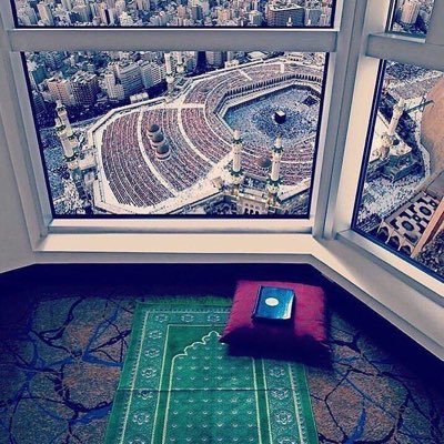 MXPkaXTsoipbjs5's profile picture. 