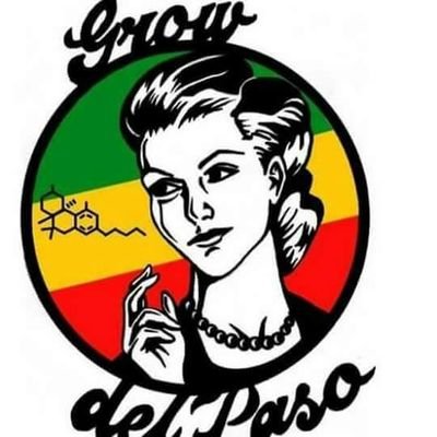 Grow shop del paso apuesta al cultivo 100% organico y brinda Asesoramiento planificación seguimientos de cultivos,como n una extensa gama de productos para ello