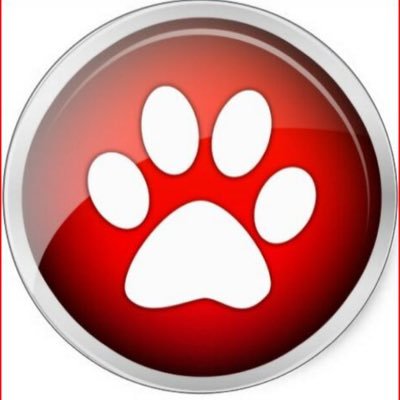 4xgood's profile picture. Almost exclusively short selling stocks over $20 (buying long term puts). Day trading weekly $SPY and $UVXY options. Starting out with penny stocks. Some forex.