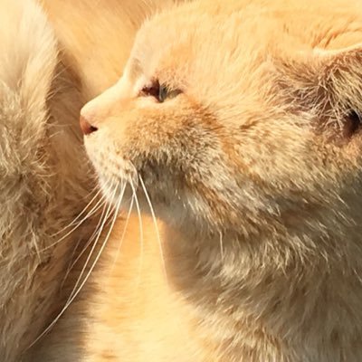 千葉県ー裏垢20代男。詳しくはDMで、裏アカで繋がろ。オフパコ希望の方はフォームでも！安心安全の秘密主義ゴムあり。https://t.co/AzAhPScoWZ