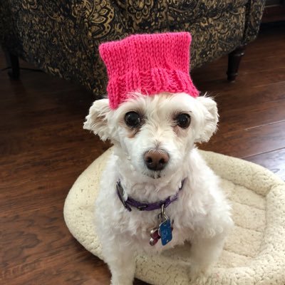 savolio's profile picture. #resist "Donald Trump is the subject of two federal criminal investigations."
