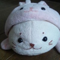 なおと (@naokun_0725) 's Twitter Profile