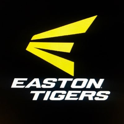 STLtigersBaseball Profile