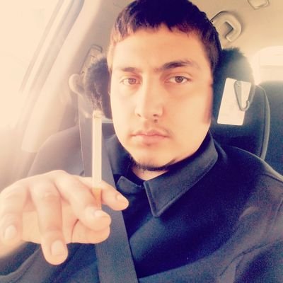 JorgeGeorgeLou1's profile picture. University of mmbbyg3k