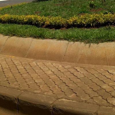 izakmkenya's profile picture. Shoot all the bluejays you want, if you can hit 'em, but remember it's a sin to kill a mockingbird.