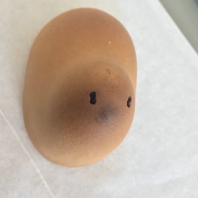 ひよこまんじゅうさんのプロフィール画像