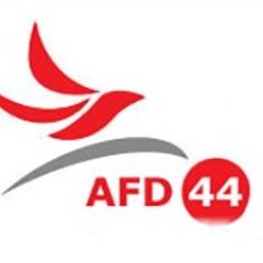 AFD 44 L'ASSOCIATION FRANCAISE DES DIABETIQUES de LOIRE ATLANTIQUE a pour objet la Défense   des diabétiques, l'amélioration de leur qualité de vie,Informations