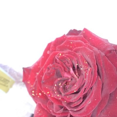 bkyds211's profile picture. ‏أنا هنـا بشخصيتي الحقيقية ولكــن بلقب مستعار 🖐️