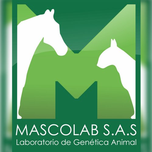 Mascolab S.A.S es una empresa Colombiana dedicada principalmente al diagnóstico de enfermedades infecciosas en animales de compañía.