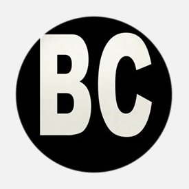 Bonilla_Corp's profile picture. 