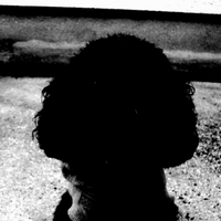 風飛行  陽芽咲（ひめさく） (@egu1) 's Twitter Profile