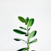 Innovayte (@innovayteinc) 's Twitter Profile