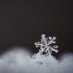 Frosty (@ineptlysociable) Twitter profile photo Frosty (@ineptlysociable) Twitter profile photo