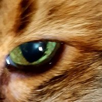 Terri'ble (@terriblet1220) 's Twitter Profile