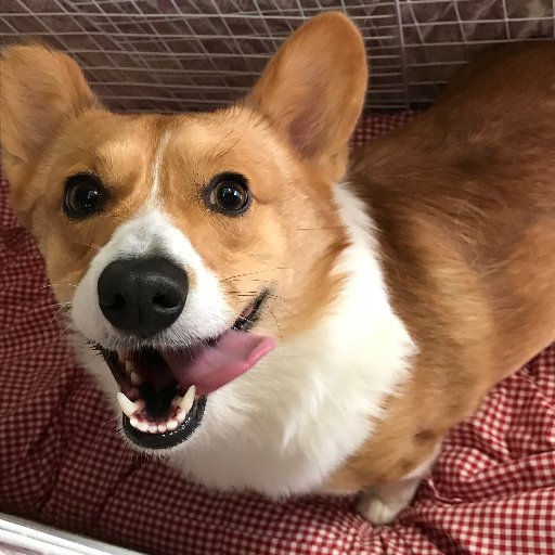 さえかさんのプロフィール画像