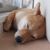 Jun Akiba (@jun_naibzade) 's Twitter Profile Photo Jun Akiba (@jun_naibzade) 's Twitter Profile Photo