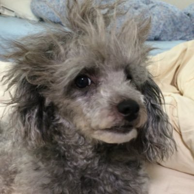 kazu123shop's profile picture. 