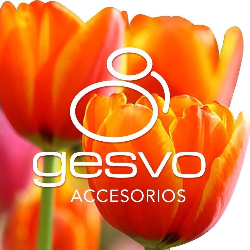 gesvoaccesorios's profile picture. 