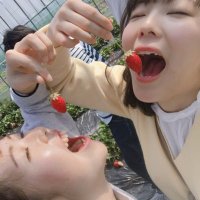 愛華 (@shiba0410) 's Twitter Profile
