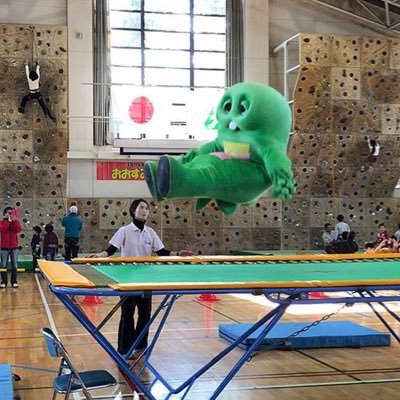 Toai7521's profile picture. 土二/茨大保体 茨城→ 北海道→ 茨城　バスケ