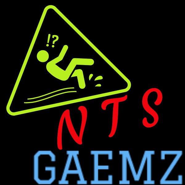 NTS_Gaemz Profile Picture