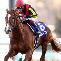 オルフェーヴル  Sunday Thoroughbred Club サンデーサラブレッドクラブ