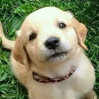 nandhinichinnu3's profile picture. House maker