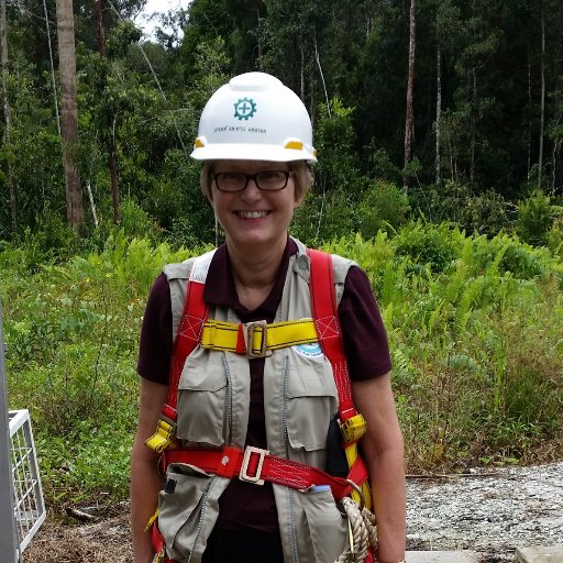 Tropical & UK bogologist: balancing peat, carbon, fire, climate, people, livelihoods. UCU member. Retweets r usually endorsements. (Her/she/hers).