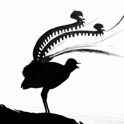 Researching #song and #dance of #lyrebirds across Australia