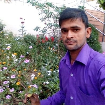 neerajupbsr's profile picture.