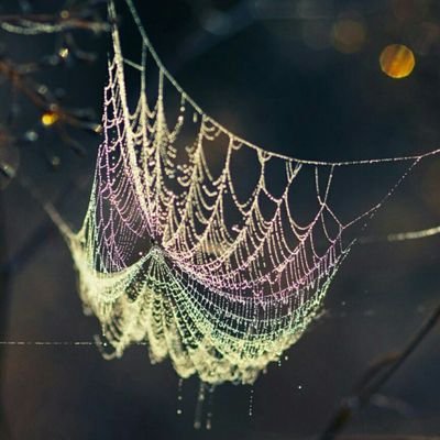 simpleshining's profile picture. Schreiberling | Gryffindor | Musik hören | Tee trinken | auf Reisen gehen | Bulletjournaling