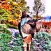 Andy (@arkswampdonkey) Twitter profile photo Andy (@arkswampdonkey) Twitter profile photo