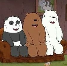 3racha as 3 the cutest bears