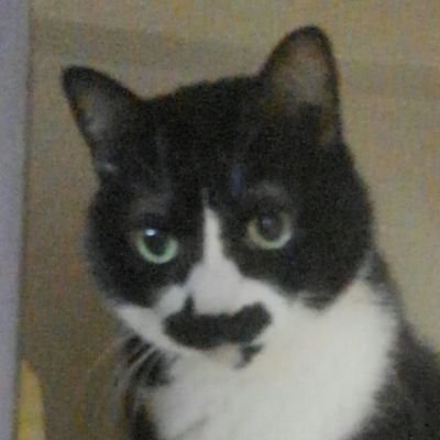 黒木露火さんのプロフィール画像