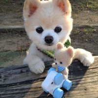 Feyth (@anifeyth) 's Twitter Profile